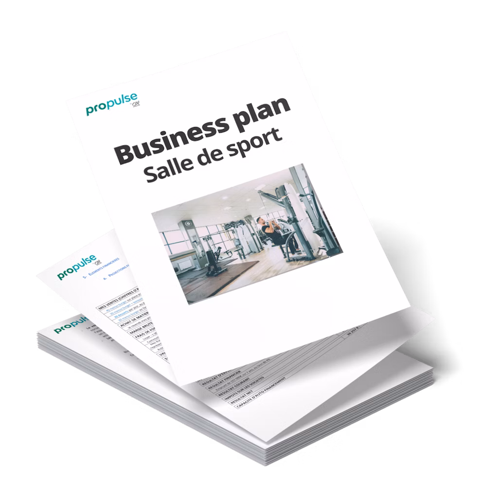 REDACTION COMPLETE DE BUSINESS PLANS PERSONNALISES
